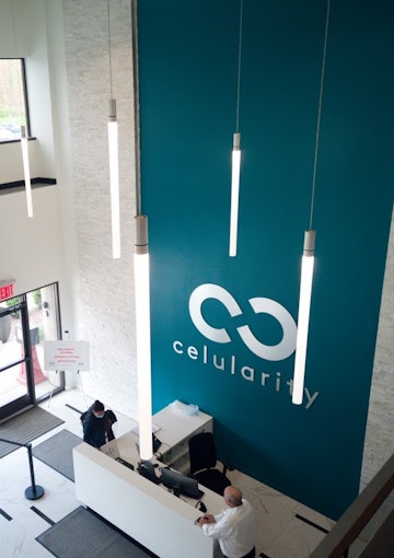 Celularity reception area