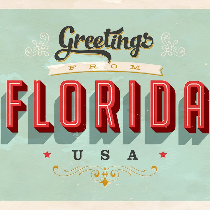 Postcard Universal Studios Florida, Greetings from Florida, Orlando,  Florida